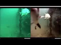 Underwater Image Enhancement - Adaptive Color Balance