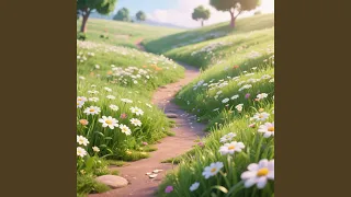 daisy road
