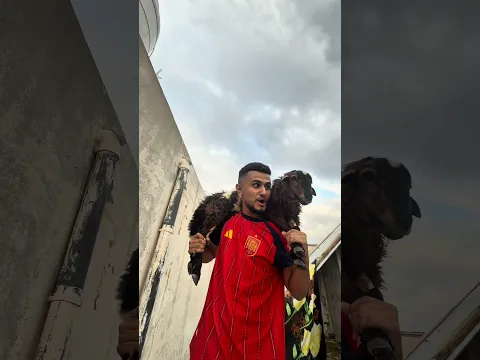 أصعب لحظة بعد المليون 💔🥹