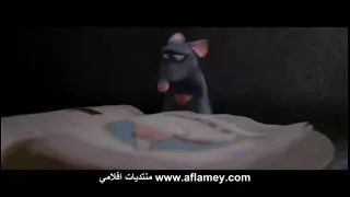 حالة واتس لو ركزت ع اللى ضاع منك عمرك ماهتشوف اللى بيستناك 