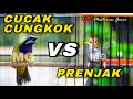Download Lagu MASTERAN GACOR PRENJAK TIRR VS CUCAK CUNGKOK MATERI NEMBAK KUNTI COCOK BUAT SEGALA JENIS BURUNG