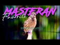 Download Lagu MASTERAN BLACKTHROAT GACOR SUARA JERNIH FAVORITE BIKIN KENARI BAHAN CEPET GACOR MEWAH JUARA