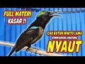 Download Lagu SUARA BURUNG KOLIBRI NINJA GACOR FULL TEMBAKAN CILILIN !! PANCINGAN KONIN AGAR CEPAT BONGKAR ISIAN