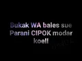 Download Lagu Sw status whatsapp