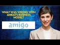 What Was Wrong With Amigo s Business Model