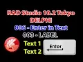 Rad Studio Delphi 003 Label - 006 Enter in text