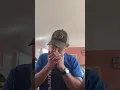 Belles Disco Rodeo Harmonica Cover 