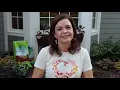 Planting Fall Window Boxes Gardening with Creekside