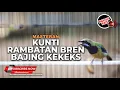 Lagu 🔴Masteran Kunti Rambatan Bren Bajing Kekes Materi Cucak Cungkok Super Gacor