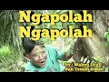 Download Lagu video clip lagu ngapo ngapolah jambi