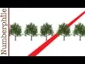 Tree Gaps and Orchard Problems - Numberphile