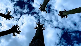 Parque Guanguiltagua: Donde la Naturaleza Cuenta Historias