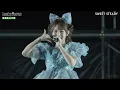 SWEET STEADY - LuckyFes'26 20260808