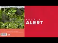 Recall issued for lettuce blend sold at Hannaford Market Basket stores
