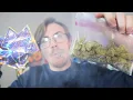 COMPARING THE PLUGS FLOWER VS ONLINE FLOWER