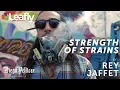Strength of Strains Mural - Rey Jaffet