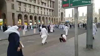 إلى كل عشاق طيبة الطيبة وإلى مسجد المصطفى عليه أفضل الصلاة والسلام 