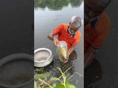 Amazing village fishing #village# #fishing #handfish