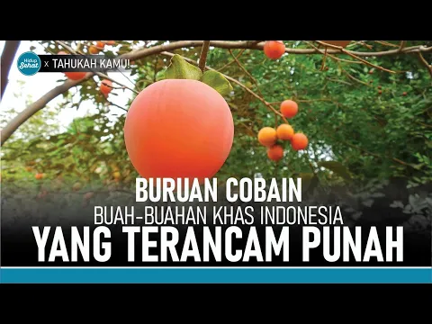 Sudah Pernah Coba? Inilah 4 Buah Indonesia yang Hampir Punah
