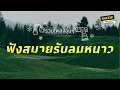 Lagu รวมเพลงอุ่นๆ ฟังสบายรับลมหนาว [Longplay]
