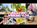 Download Lagu A RELAXING WEEKEND VLOG // planting sunflowers \u0026 father's day