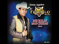 El Amor De Un Pobre - El Tigrillo Palma