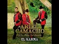 La Bruta (Una Mula Resulto)
