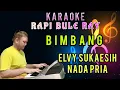 Download Lagu BIMBANG - ELVY SUKAESIH | Karaoke | Nada Pria | Lirik