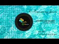 C Programming Tutorial Input and Output statements printf and scanf statements English