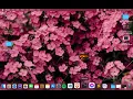 zsh command not found mysql error fix xampp surver mac and osx