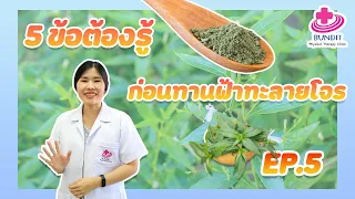 ขนาดยาฟ้าทะลายโจรที่ควรกินเพื่อให้ได้ผลในการรักษาโควิด-19 คือเท่าไร