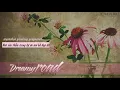 Download Lagu A walk in a dreamy road - instrumental
