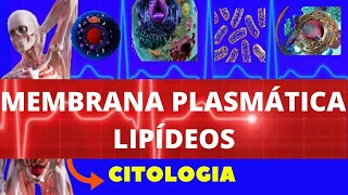 MEMBRANA PLASMÁTICA  LIPÍDEOS - CITOLOGIA - BIOLOGIA CELULAR E MOLECULAR -  MEMBRANA PLASMÁTICA