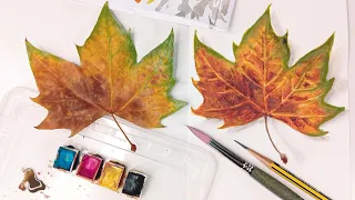 Dibujo paso a paso: hoja de otoño con acuarelas