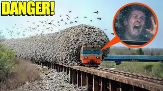 If you see THIS around a TRAIN, CALL for help FAST! (it’s not SAFE!)