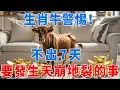 生肖牛警惕！不出7天，要發生「天崩地裂」的事，家有屬牛的快點開消災！|金福有道 #生肖 #運勢 #風水 #財運 #命理#人生感悟