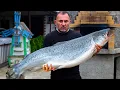 Download Lagu SALMON BAKED in SALT. ENG SUB