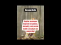 Best Massage Therapist Albuquerque NM Regular Massage