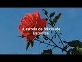 Soweto - Farol das estrelas (Letra)