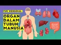 Download Lagu ORGAN DALAM TUBUH MANUSIA