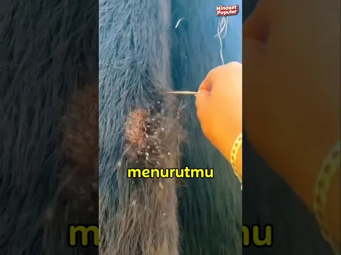 Jangan pernah sentuh benda mirip rambut ini😱👀 #shorts