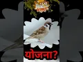Download Lagu aare manasa aata tari jagayla shik