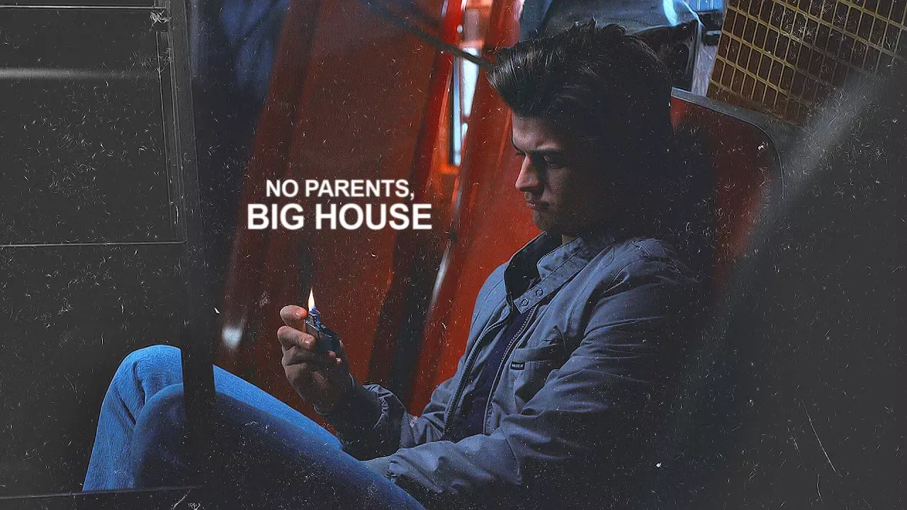Steve Harrington || No parents, big house