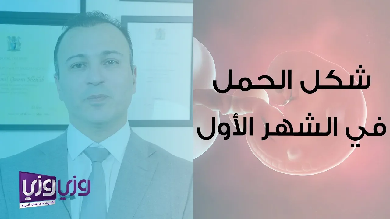 الجماع أثناء فترة الحمل