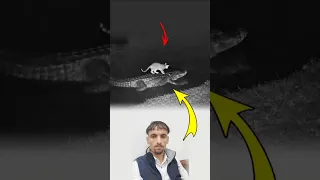إذا أراد الله أن ي عطيك سخر لك الأسباب حتى من حيث ظننت الشر لايك اكسبلور Like Shorts  إذا أراد الله أن ي عطيك سخر لك الأسباب حتى من حيث ظننت الشر لايك اكسبلور Like Shorts