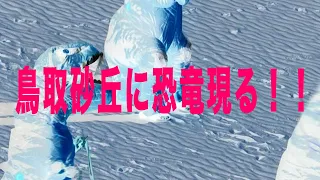 新発見！！あの「鳥取砂丘」に「恐竜」がいた！？犬の散歩で砂丘にいったい何が起きているのか？！