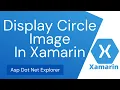 How to Make Circle Image in Xamarin Forms Round Shape Image Rounded ImageView