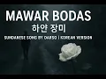 Lagu Mawar Bodas (하얀 장미) — Darso | Korean Version 🌹