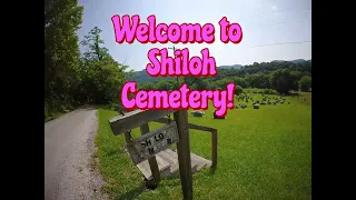 A Walk In Shiloh