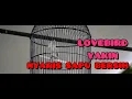 Download Lagu LOVEBIRD YAKIN NYARIS SAPU BERSIH DI PIALA DPR PROVINSI BENGKULU